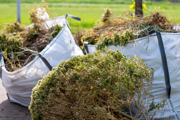 Best Junk Hauling Services  in Fort Defiance, AZ