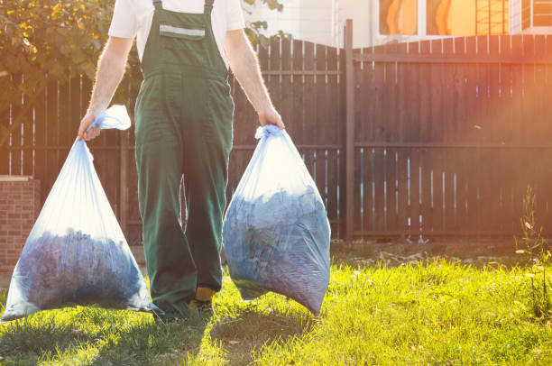 Best Dumpster Rental Services  in Fort Defiance, AZ